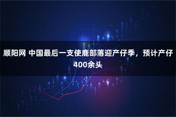 顺阳网 中国最后一支使鹿部落迎产仔季，预计产仔400余头