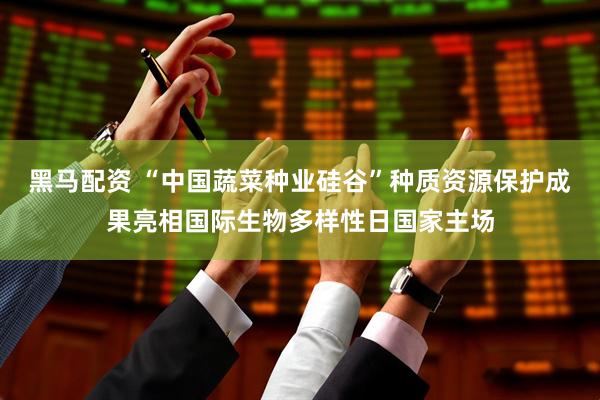 黑马配资 “中国蔬菜种业硅谷”种质资源保护成果亮相国际生物多样性日国家主场