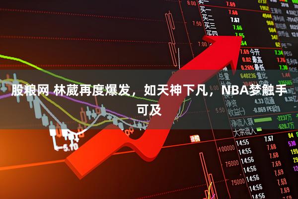 股粮网 林葳再度爆发，如天神下凡，NBA梦触手可及