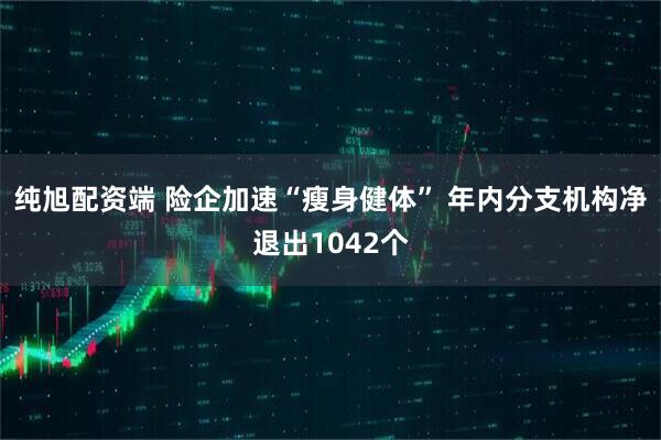 纯旭配资端 险企加速“瘦身健体” 年内分支机构净退出1042个