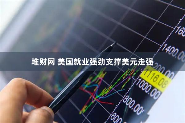 堆财网 美国就业强劲支撑美元走强