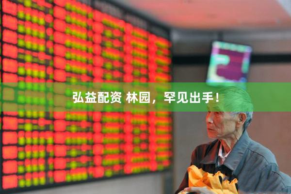 弘益配资 林园，罕见出手！