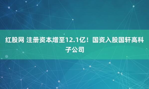 红股网 注册资本增至12.1亿！国资入股国轩高科子公司